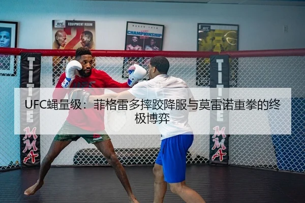 ying-liang-ji-fei-ge-lei-duo-shuai-jiao-xiang-fu-yu-mo-lei-nuo-zhong-quan-de-zhong-ji-bo-yi-3-252.jpg
